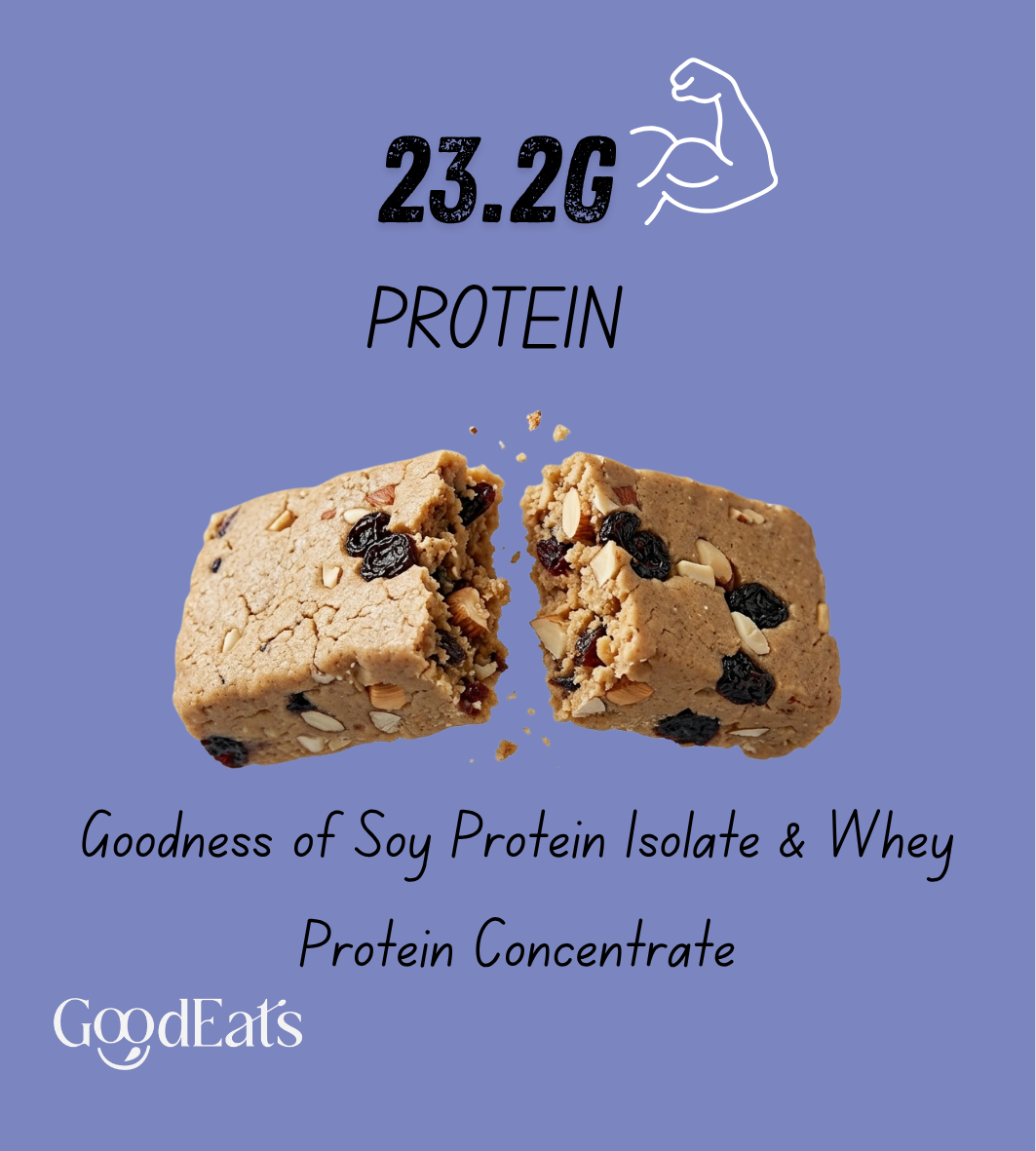 Blueberry Protein Bars